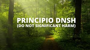 Conformità  DNSH (Do Not Significant Harm)